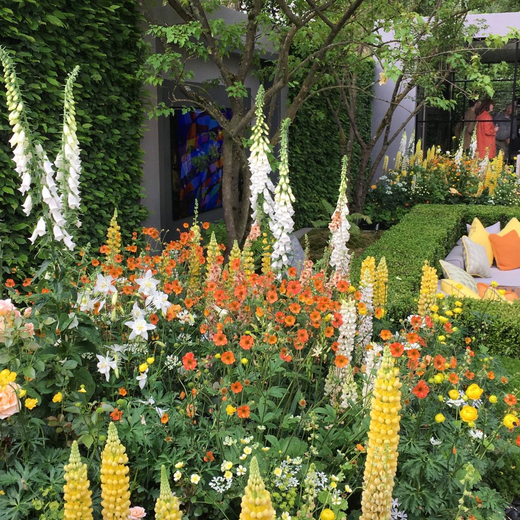 Chelsea small london garden ideas