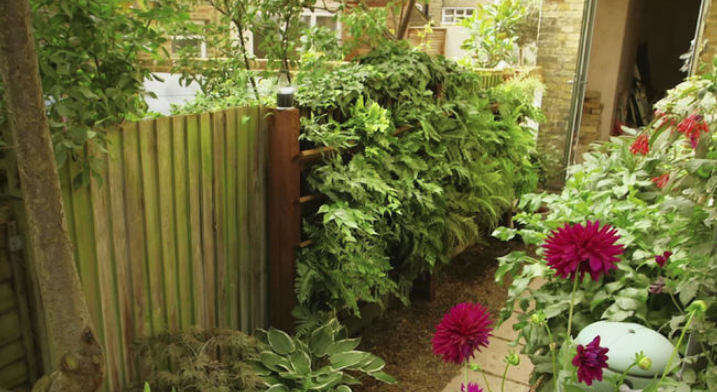 London green wall ideas ferns