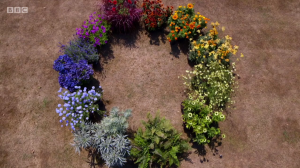 Small london backyard garden ideas colourwheel gardeners world