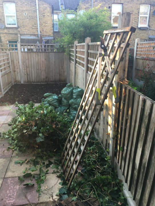 Small london garden replace fencing