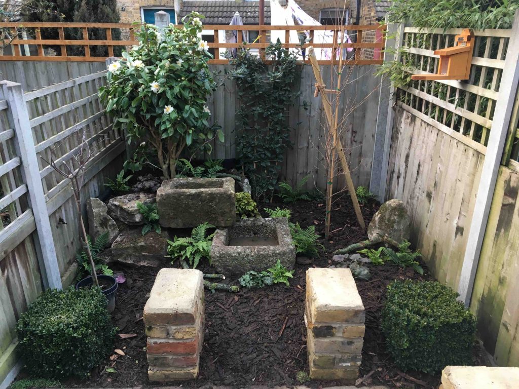east london funny garden blog, the completed garden bed, with troughs, rocks, camellia and ferns all in place.