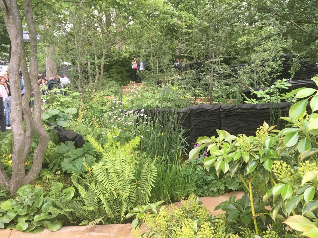 A woodland garden at the Chelsea Flower Show.