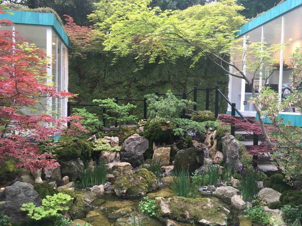 A small Japanese Garden at Chelsea, with lots of acers, rocks and moss.