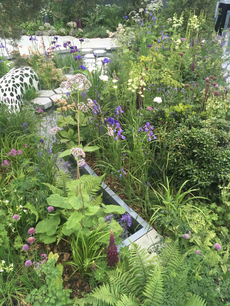 Another beautiful garden at the Chelsea Flower Show.